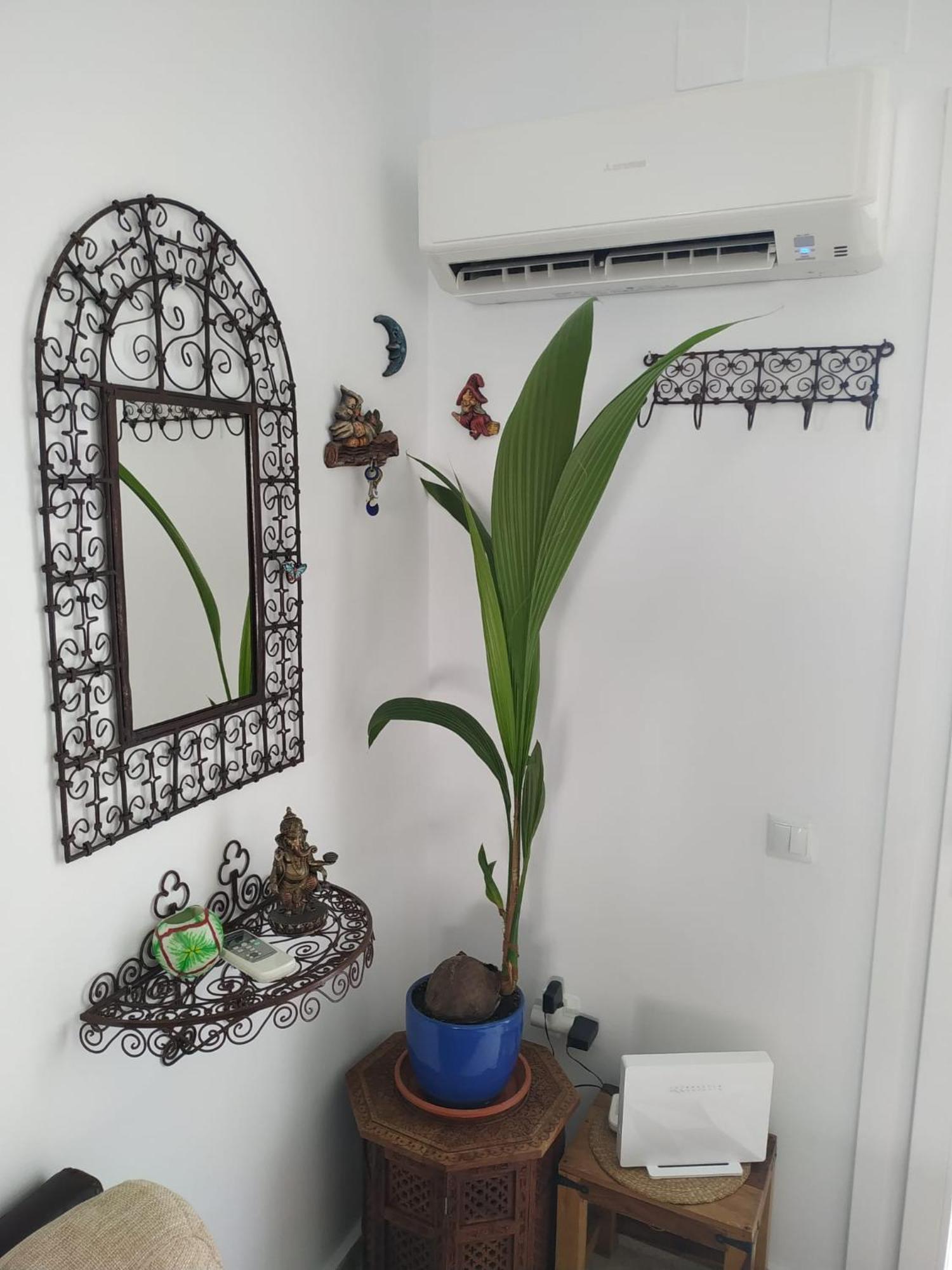 Willa La Barrosa Duplex Chiclana de la Frontera Zewnętrze zdjęcie