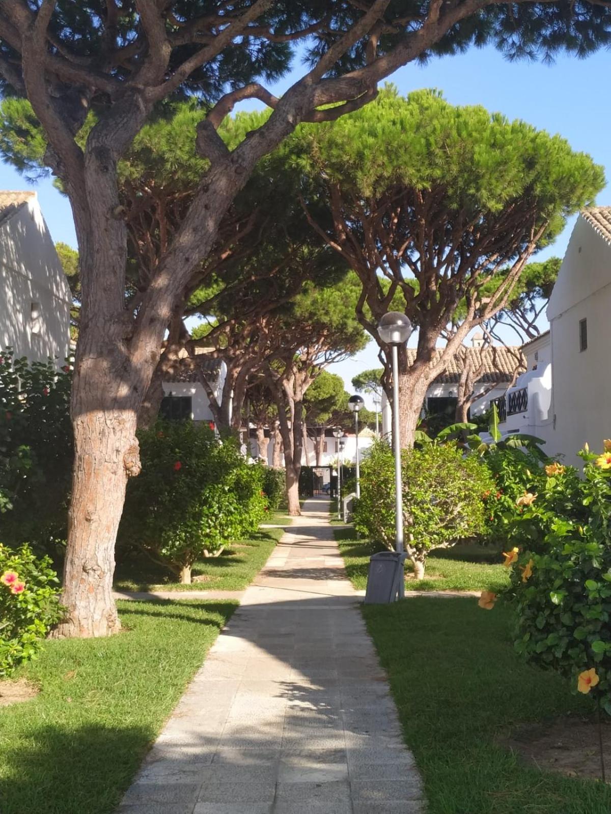 Willa La Barrosa Duplex Chiclana de la Frontera Zewnętrze zdjęcie